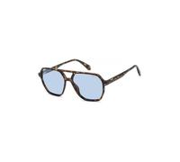 Sunglasses - POLAROID - PLD 4218/S - Square - Havana (Brown) - Lenses 56 mm