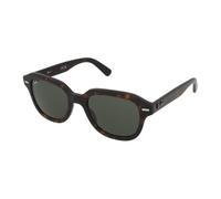 Ray-ban Erik RB4398 902/31