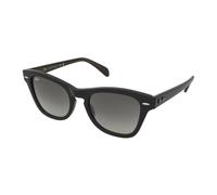 Sunglasses Ray-Ban RB0707S 664271 21 53 145 Größe: 53