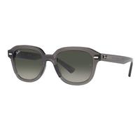 Sunglasses Ray-Ban RB4398 667571 20 53 140 Größe: 53