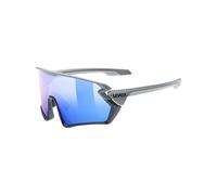 Sunglasses Uvex Sportstyle 231 (5416)