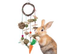 SunGrow Cage Hanging Rabbit Chew Toy, Handwoven Space-Saving Enclosure Accessory, Wooden Discs, Loofah Slices, Grass Ball & Compressed Hay, for Bunnies, Guinea Pigs, and Chinchillas, 17” x 7”, 1 Set
