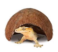 SunGrow Coco Hut for Crested Gecko, 5x3 Inches, Smooth-edged Coconut Shell, For Exercise, Climbing, Crawling, Perching and Basking Spot, 1 Piece
