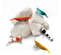 SunGrow Mineral Rocks, 0.5 Inch, Boosts Health, Helps Molting, Rich in Natural Minerals and Calcium, Gives Tanks a Natural and Rustic Look, Natural Decoratives, 60 Grams Pack