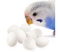 SunGrow Parakeet Eggs, Beneficial in Birds' Laying and Breeding Process, White Plastic, 0.71" x 0.47” (18mm x 12mm), Suitable for Lorikeet & Ringneck Doves, Cockatiel, Green Cheek, 8 Pcs Per Pack