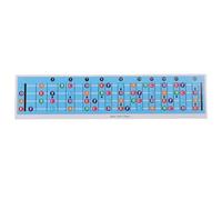 Sunicon Bass Guitar Fretboard Note Chart, Color Coded Quick Learning 4 String Bass Scale Chart for Learning Notes, Chords & Scales