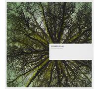 Sunken Foal - Fallen Arches