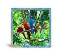 Sunlight Art Tropical Macaws Suncatcher 11" x 11" Window Panel, Sunlit Splendor of Colorful Birds for Windows, Similar to Stained Glass Art