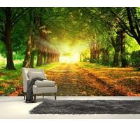 Sunlight Green Forest Space Expansion Modern 3D Wallpaper Premium Textured Silk Neutral Tones Material Ideal for Living Room Bedroom-150cm×105cm