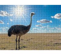 Sunlight Ostrich Puzzle - 5000 Piece Jigsaw Puzzles for Adults - The Back Features Printed Letter Guides - and The Pieces fit Together Snugly - Wooden Puzzles for Adults 61.6 X 41.5 Inch s7h-954