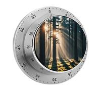 Sunlight Shines Into The Forest Kitchen Timer with Loud Alarm 60-Minute Magnetic Countdown Reminder for Cooking Stainless Steel Visual Wind Up Timer