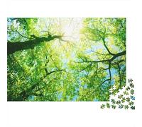 Sunlight through Leaves-Nature Forest Scene Jigsaws 1000 Pieces for Adults with Unique Shapes Centenary Jigsaws As A Perfect Office Break Puzzle for Workplace Leisure 70x50cm/1000pcs