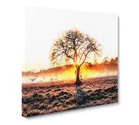 Sunlight Through the Oak Tree Canvas Print | Gallery Wrapped 30mm Frame Wall Art | 20x20 inches | Ready to Hang | Abstract Landscape Picture | Living Room Bedroom Lounge Office