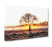 Sunlight Through The Oak Tree In Abstract Modern Art Canvas Wall Art Print Ready to Hang, Framed Picture for Living Room Bedroom Home Office Décor, 20x14 Inch (50x35 cm)