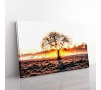 Sunlight Through The Oak Tree In Abstract Modern Art Canvas Wall Art Print Ready to Hang, Framed Picture for Living Room Bedroom Home Office Décor, 50x35 cm (20x14 Inch)