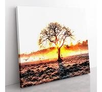 Sunlight Through the Oak Tree in Abstract Modern Canvas Wall Art Print Ready to Hang, Framed Picture for Living Room Bedroom Home Office Décor, 50x50 cm (20x20 Inch)