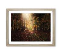 Sunlight Through The Trees Modern Art Framed Wall Art Print, Ready to Hang Picture for Living Room Bedroom Home Office Décor, Oak A2 (64 x 46 cm)