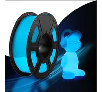 SUNLU Glow in the Dark PLA Filament, Neatly Wound Luminous PLA 3D Printer Filament 1.75mm Dimensional Accuracy +/- 0.02mm, Fit Most FDM 3D Printers, 1kg Spool (2.2lbs), (Blue PLA, Glow Blue)
