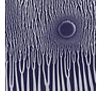 Sunn O))) - The Grimm Robe Demos