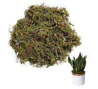 SUNNEE 100g Fake Moss for Crafts,Fake Moss Artificial Moss Simulated Moss Turf Artificial Moss for Centerpieces Home Kitchen Garden Decor (Primary moss)