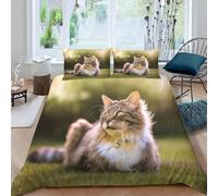 Sunny Cat Super King Duvet Cover Set Heartwarming Pets Bedding Double Bed Set 3D Print Soft Comfort Microfiber Quilt Cover 220x260 cm with Zipper Closure and 2 Pillowcases o.1727
