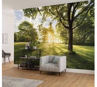 Sunny day decor Wallpaper green nature countryside 368x254cm with adhesive