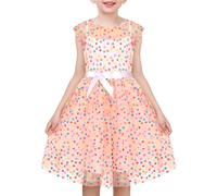 Sunny Fashion Girls Dress Pink Rainbow Polka Dot Pleated Tulle Party Gown Sleeveless Age 10 Years
