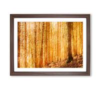 Sunny Forest In Switzerland In Abstract Modern Art Framed Print | A3 Walnut Framed Wall Art | Ready to Hang | Abstract Landscape Picture | Living Room Bedroom Lounge Office