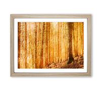 Sunny Forest In Switzerland In Abstract Modern Art Framed Print | A4 Oak Framed Wall Art | Ready to Hang | Abstract Landscape Picture | Living Room Bedroom Lounge Office