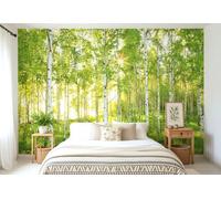 Sunny Green Forest Scene Wall Mural Wallpaper 368x248cm Non-woven Wall Decor