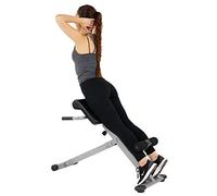 Sunny Health and Fitness 45 Degree Hyperextension Roman Chair, Steel, Grey, One Size SF-BH6629