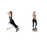 Sunny Health & Fitness Advanced Twist Stepper Machine with Resistance Bands - SF-S0979 + Sunny Health and Fitness 45 Degree Hyperextension Roman Chair, Steel, Grey, One Size