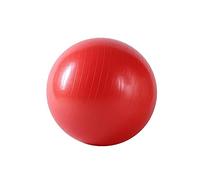 Sunny Health & Fitness Anti-Burst Gym Ball, 55 CM