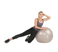 Sunny Health & Fitness Anti-Burst Gym Ball, 65 CM