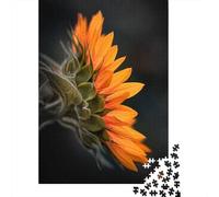 Sunny Portrait 1000-Piece Puzzle for Adults, 70x50cm/1000pcs, Smooth White Card with Reduced Dust; Easy to Revisit Throughout The Week