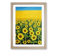 Sunny Sunflower Field Framed Wall Art Print, Ready to Hang Picture for Living Room Bedroom Home Office, Oak A2 (48 x 66 cm)