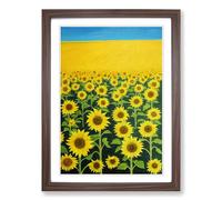Sunny Sunflower Field Framed Wall Art Print, Ready to Hang Picture for Living Room Bedroom Home Office, Walnut A2 (48 x 66 cm)