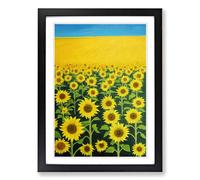 Sunny Sunflower Field Framed Wall Art Print, Ready to Hang Picture for Living Room Bedroom Home Office, Black A2 (48 x 66 cm)