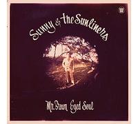 Sunny & The Sunliners - Mr. Brown Eyed Soul [VINYL]