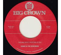 Sunny & The Sunliners - The One Who'S Hurting Is You [7" VINYL]