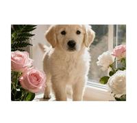 Sunny Windowsill Dog Placemats 30x45cm Linen Heat Resistant Placemats Waterproof Table Place Mats Washable Wipeable Outdoor Placemat for Kitchen Dining Room Table Decorations