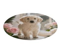 Sunny Windowsill Dog Round Area Rug Non Slip Backing Doormat Water Absorbent Plush Throw Low-Pile Non-Slip Floor Mat Carpet for Living Room Bedroom Entryway Nursery Room 90 * 90cm