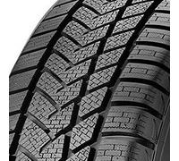 Sunny Wintermax NW211 ( 195/55 R16 87H )