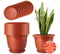 Sunnychicc 12 Pack Plastic Plant Pots Round Planter Pots with Saucer Tray Seedling Pots with Holes Seed Resin Plant Pot Starting Nursery Flower Container with Pallet for Garden Outdoor Indoor (10'')