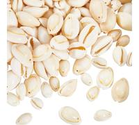 SUNNYCLUE 1 Bag 100Pcs Natural Seashell Charms Spiral Shell Beads Bulk White Summer Beach Marine with Holes Cowrie Shells Loose Beads for Jewellery Making Charms DIY Crafting Necklace Bracelet Earring