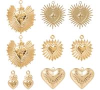 SUNNYCLUE 1 Box 10Pcs 5 Styles Real 14K Gold Plated Heart Charms Love Themed Charms Stainless Steel Sacred Sweet Valentines Pendants for Jewellery Making Supplies Crafting DIY Necklace Earring Adult