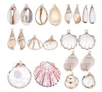 SUNNYCLUE 1 Box 20pcs 10 Styles Natural White Cowrie Seashells Pendant Conch Shells Plated Summer Ocean Seashells Charms for Necklace Bracelet Earring Jewellery Making Party Supplies
