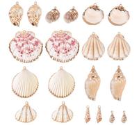 SUNNYCLUE 1 Box 20Pcs 10 Styles Seashell Charms Sea Shell Charms Summer Hawaii Ocean Beach Seashells Gold Electroplated Natural Shells Pendants for Jewellery Making Necklace Bracelet Earring DIY Craft