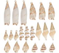 SUNNYCLUE 1 Box 21Pcs 7 Styles Natural Seashell Charms Conch Charm Large White Summer Sea Beach Hawaii Ocean Life Shell Charms for Jewellery Making Charms Diy Necklaces Bracelets Earrings Supplies