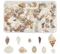 SUNNYCLUE 1 Box 260Pcs Shell Beads Seashell Charms Pre-Drilled Assorted DIY | Mini Beach Shells Bulk Small Tiny Natural Spiral Conch Seashells for Jewellery Making Crafts Wedding Party Home Decorations